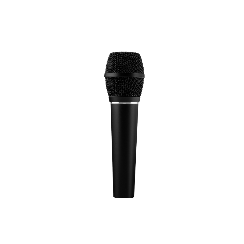 Earthworks / SR117 =SUPERCARDIOID CONDENSER VOCAL MICROPHONE＝【★Earthworks Vocal Mic プロモーション 2025.5！キャンペーン期間:〜2025年6月2日(月)23:59まで！！★】