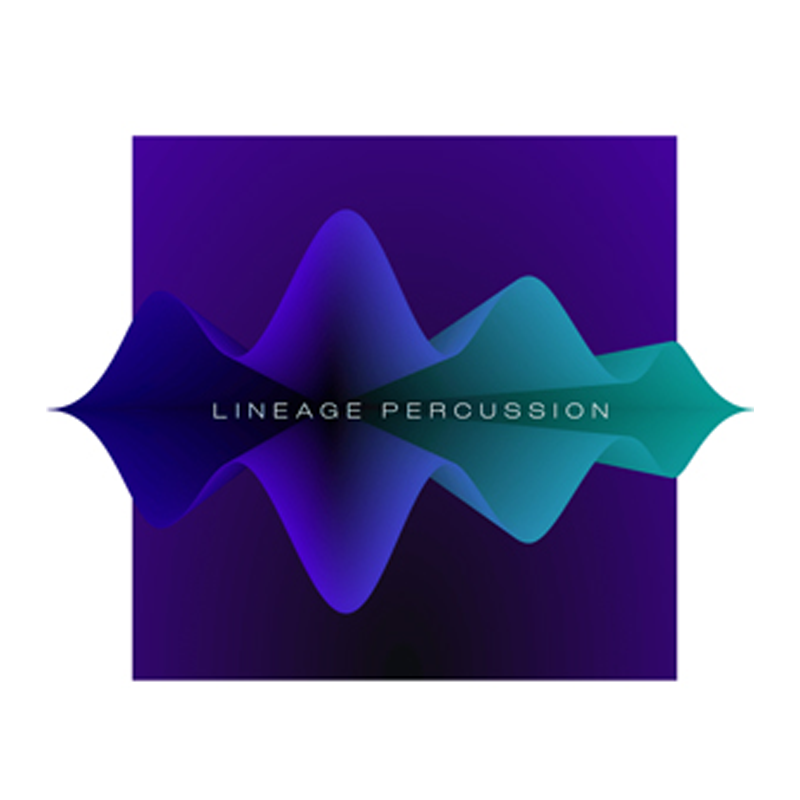 PROJECT SAM / LINEAGE PERCUSSION PRO【★扱いやすさ抜群のオーケストラ・パーカッションを70種類収録！★】
